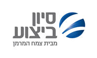 סיון ביצוע